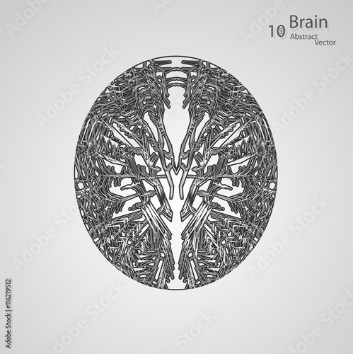 Creative concept of the human brain