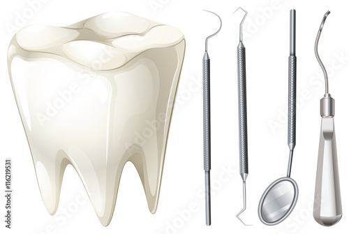 Dental set with tooth and equipment