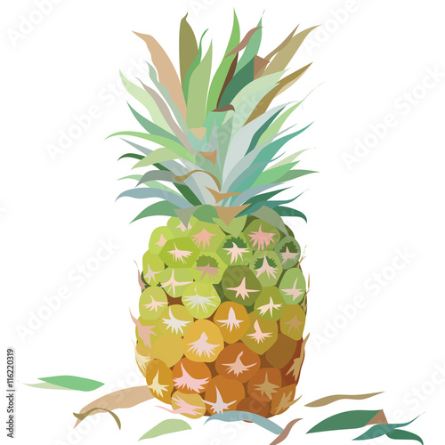 Watercolor Pineapple isolated on white background Vector