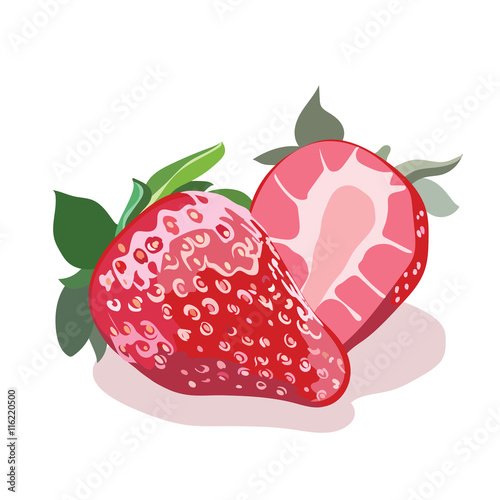 Red strawberry isolated Watercolor Vector