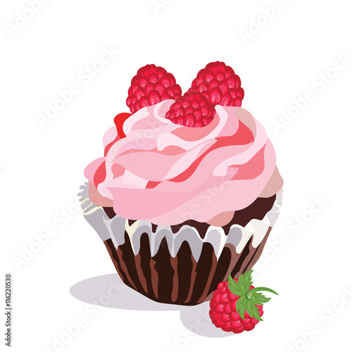 Delicious raspberry Cupcake isolated on white background Vector