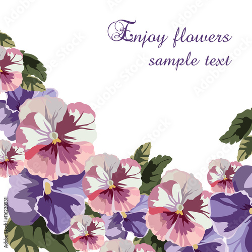 Fototapeta Naklejka Na Ścianę i Meble -  Geranium Watercolor flowers Vector in Rose quartz and Serenity colors