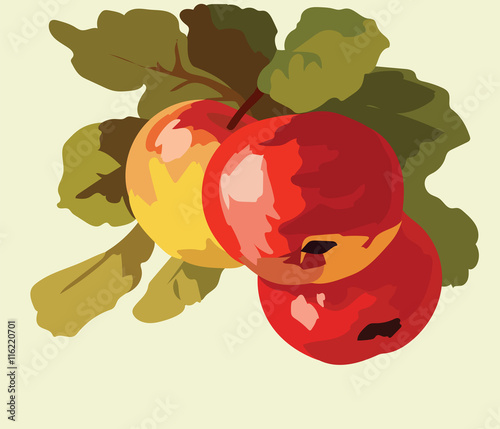Apple fruits Watercolor Vector Illustration