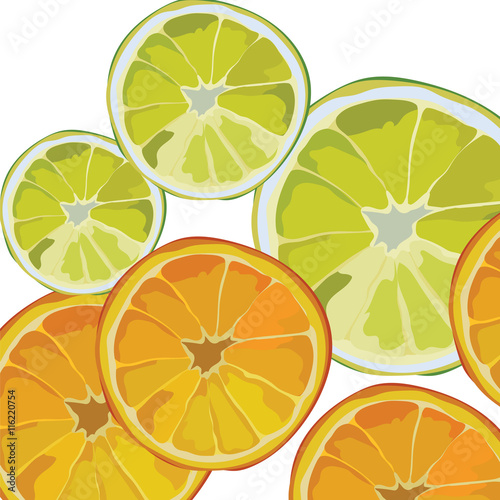 Orange and Lime fresh slices Vector background. Vector summer fruits slices b...
