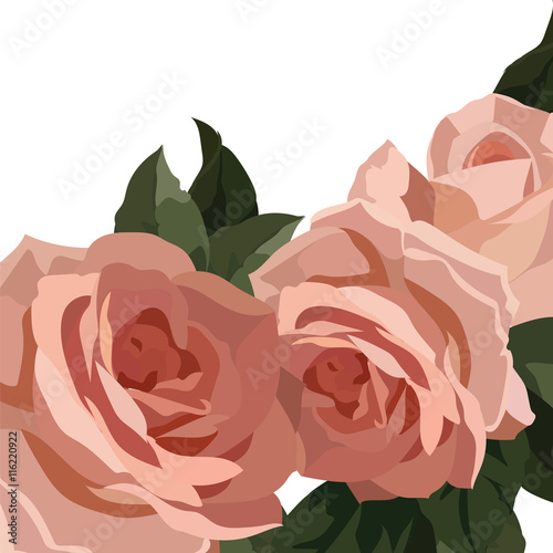 Vintage Vector Watercolor Roses Flowers isolated on white background. Rose quartz color flowers. Vector illustration