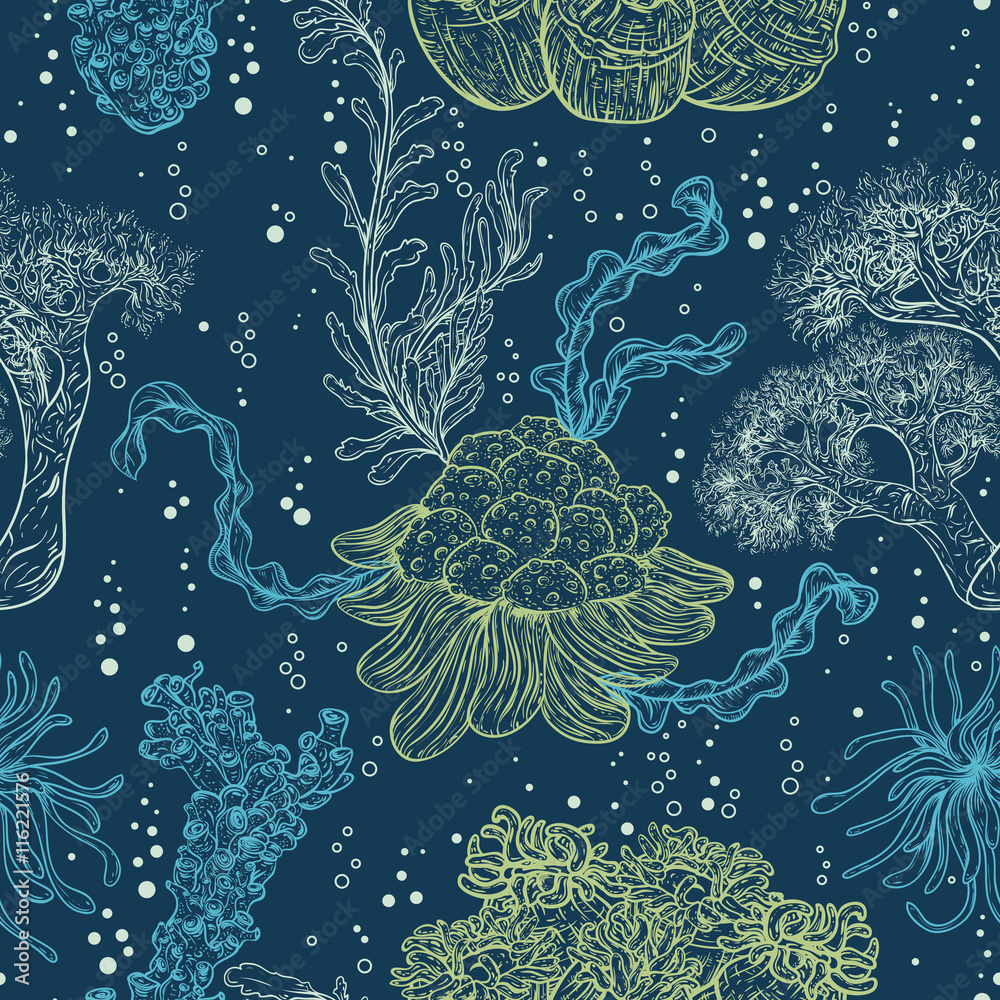 Naklejka premium Collection of marine plants, leaves and seaweed. Vintage seamless pattern with hand drawn marine flora. Vector illustration in line art style.Design for summer beach, decorations.