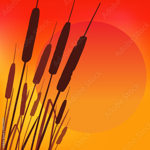 Hot summer sunset. Vector illustration.