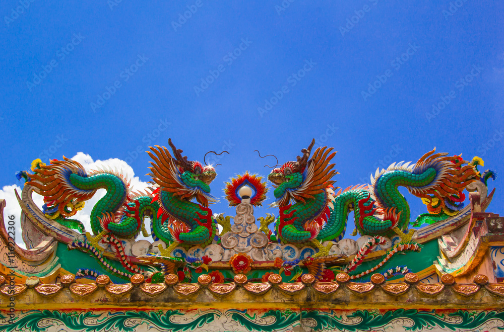 Fototapeta premium twin colorful dragon