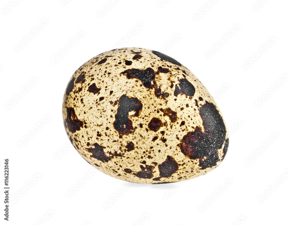 Quail egg on a white background Quail egg on a white background