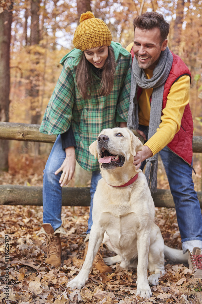 Autumn walk with cute dog