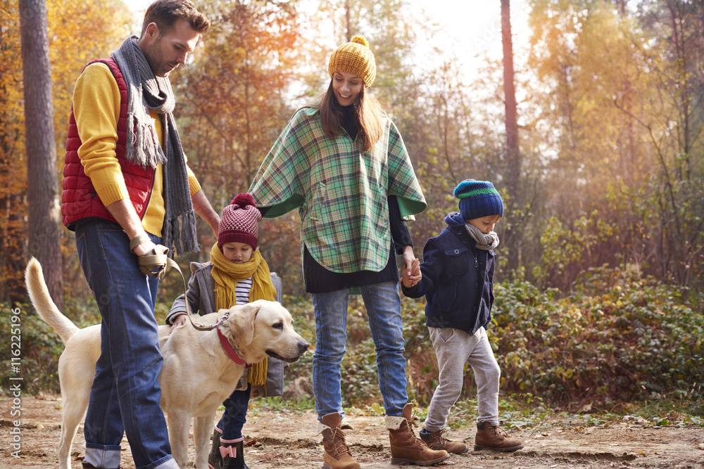 Strong relationship between members of family Strong relationship between members of family