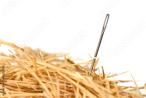Fototapeta Closeup of a needle in haystack