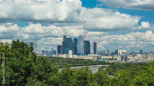 The skyscraper on the background of tree. Wide angle