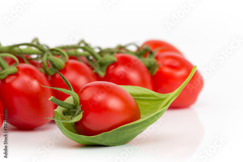 Tomate im Basilikumblatt vor Rispentomaten auf weißem Hintergrund isoliert