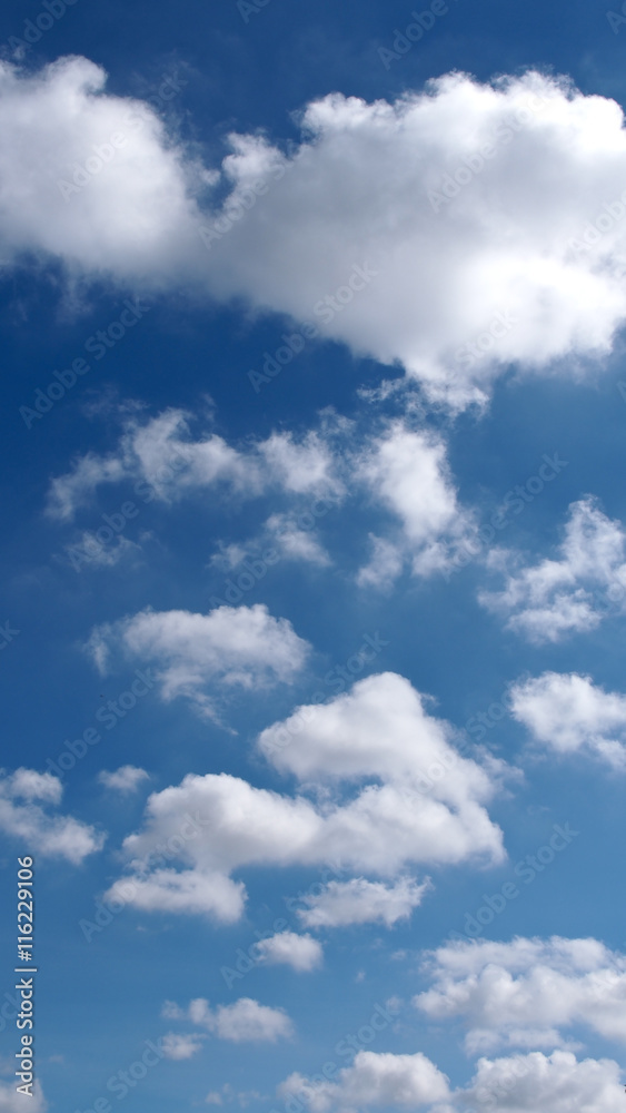 Naklejka premium Many Cloud in The Blue Sky