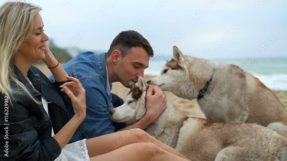 young couple caressing their husky dogs on the beach slow motion young couple caressing their husky dogs on the beach slow motion