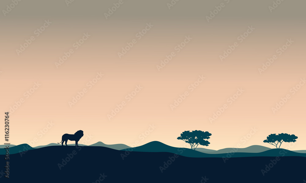 Beautiful landscape lion silhouettes