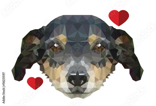 poly portrait of dog illustrated vectir