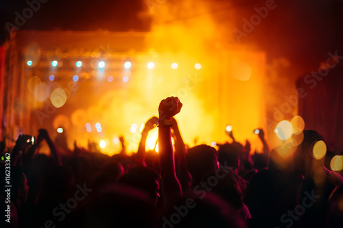 Party people attending a concert