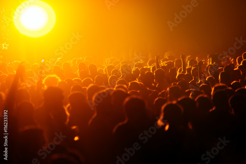 Large crowd symbolizing overpopulation photo