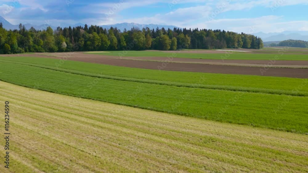 Aerial view of beautiful cultivated fields with a forest in the background in spring.
Aerial view of beautiful cultivated fields with a forest in the background in spring.