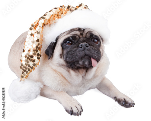 Funny pug dog laying down wearing  a christmas sparkle  hat © iLight photo