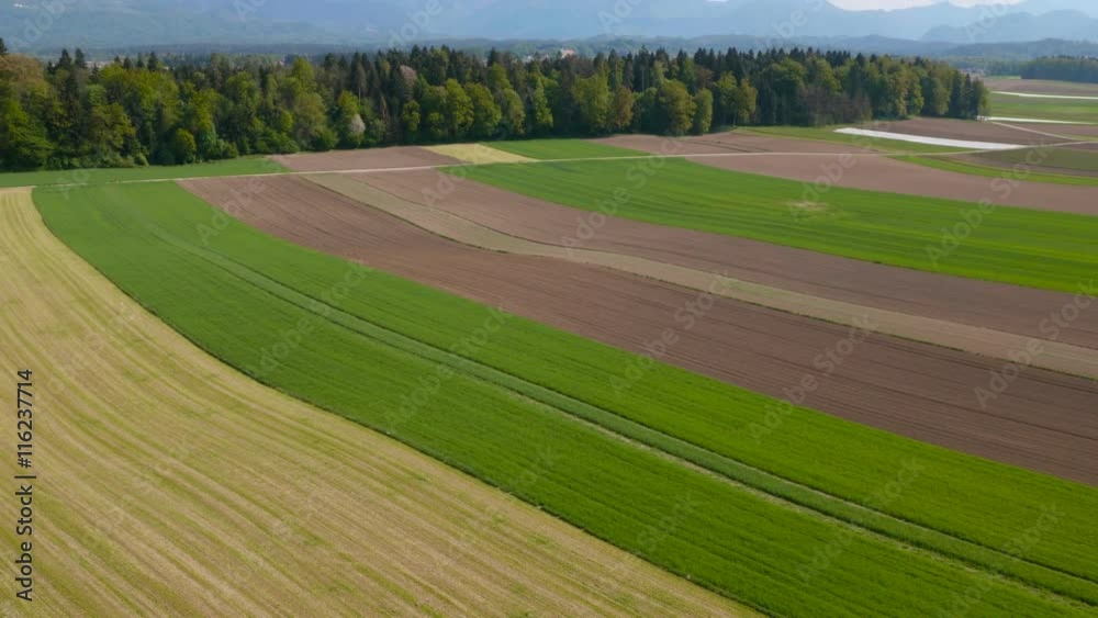 Aerial view of beautiful cultivated fields with a forest in the background on a sunny day.
Aerial view of beautiful cultivated fields with a forest in the background on a sunny day.
