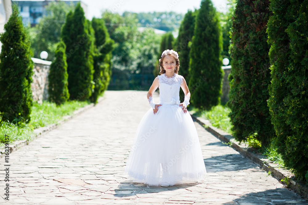 Portrait of cute little girl on white dress and wreath of first Portrait of cute little girl on white dress and wreath of first