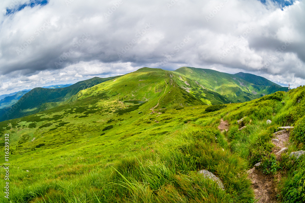 Carpathian Mountains. Mountain trail to the highest mountain of Ukraine Hoverla. Chornogora ridge.