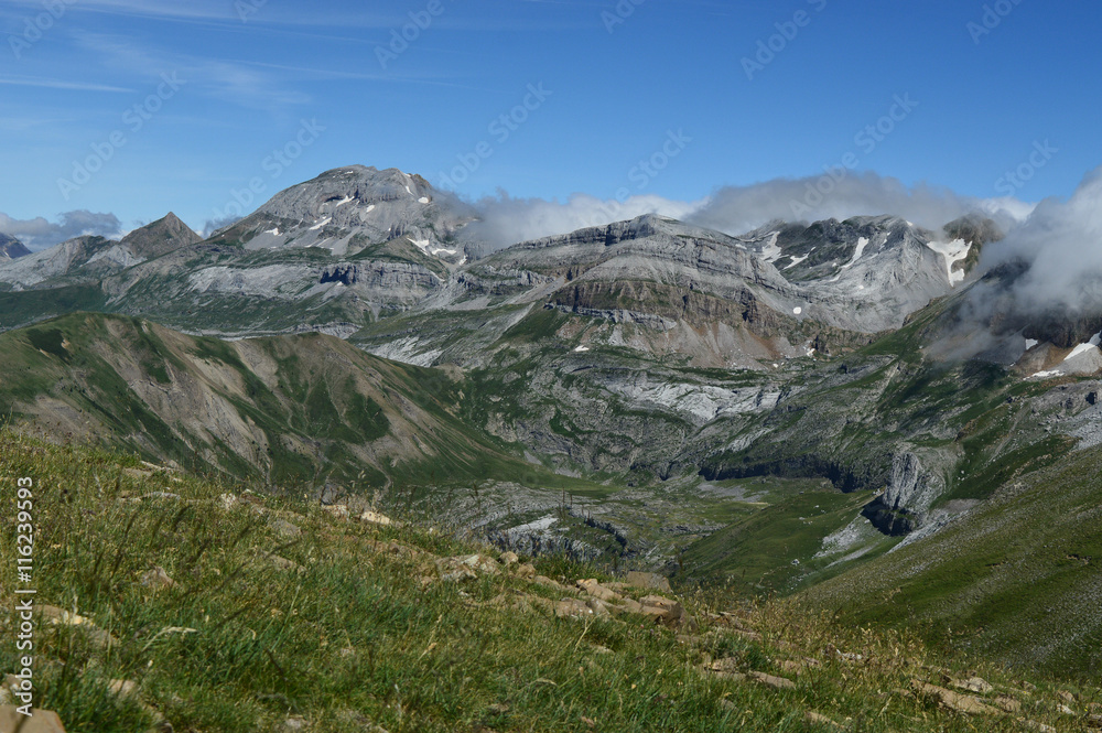 Obraz premium Bisaurin-Bernera - 1