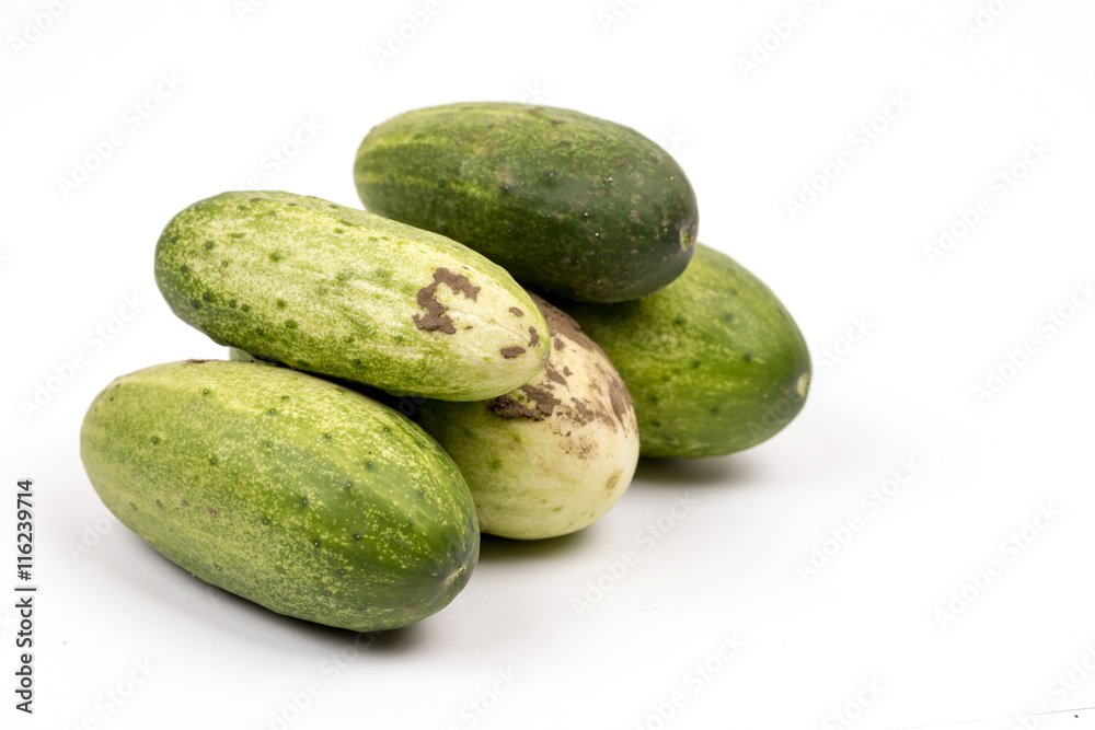 Fresh cucumbers dirty with soil isolated over white background Fresh cucumbers dirty with soil isolated over white background