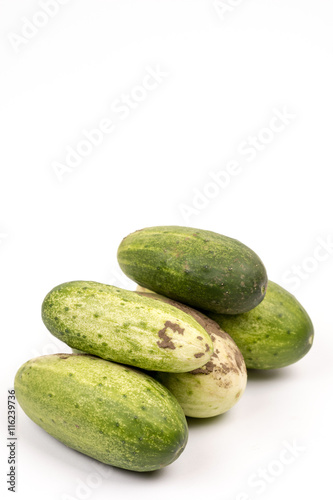 Fresh cucumbers dirty with soil isolated over white background