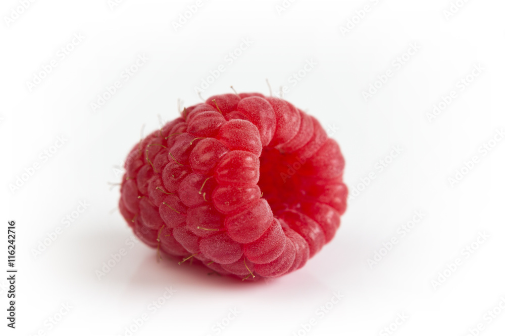 eine rote Himbeere isoliert auf weißem Hintergrund