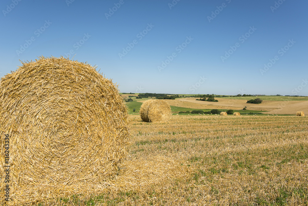 paysage agricole avec paille ronde sur le champ paysage agricole avec paille ronde sur le champ