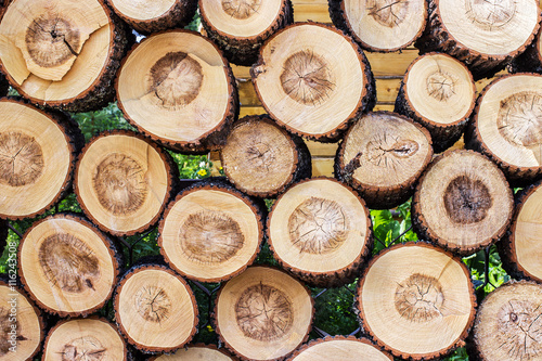  Pile of cut wood stump log texture