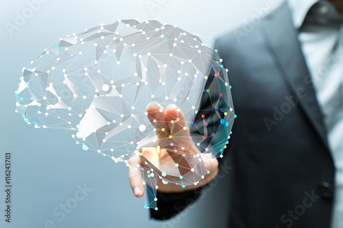 brain