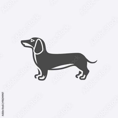 Dachshund vector icon in black simple style for web