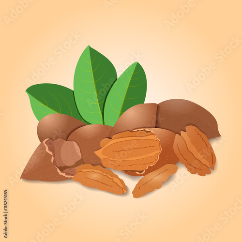 Vector illustration pecan nut. A handful of shelled pecans nuts in shell and shelled, leaves. Tasty Image on beige background nuts for printing on packaging, advertising of healthy foods