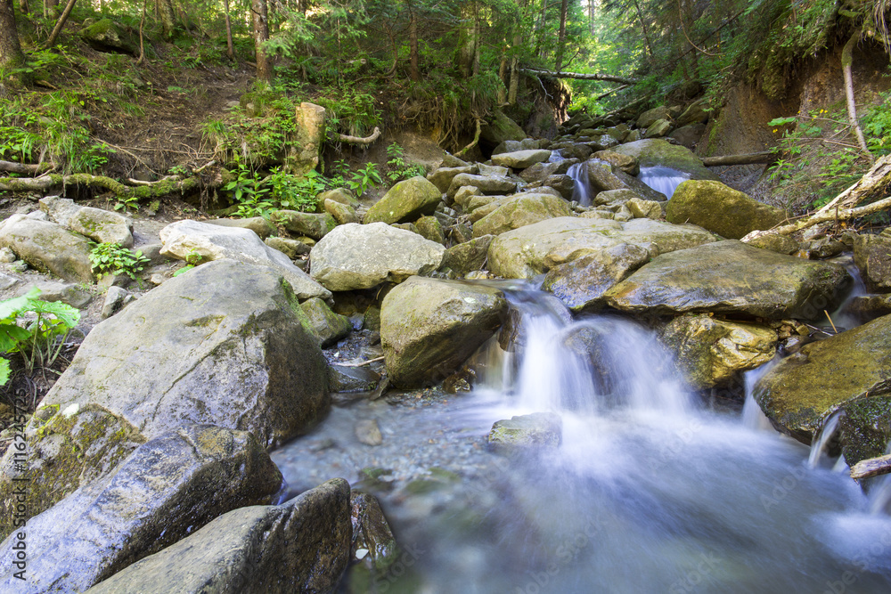 Mountain river flowing through the deep moss green forest