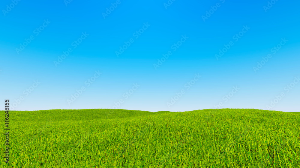 Landscape green grass blue sky 3d rendering Landscape green grass blue sky 3d rendering