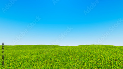 Landscape green grass blue sky 3d rendering