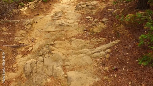 Walking down on a dangerous path, civered with sharp rocks. photo