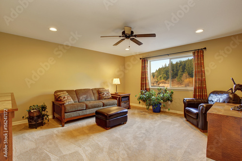 Living room iinterior with sofa  carpet floor