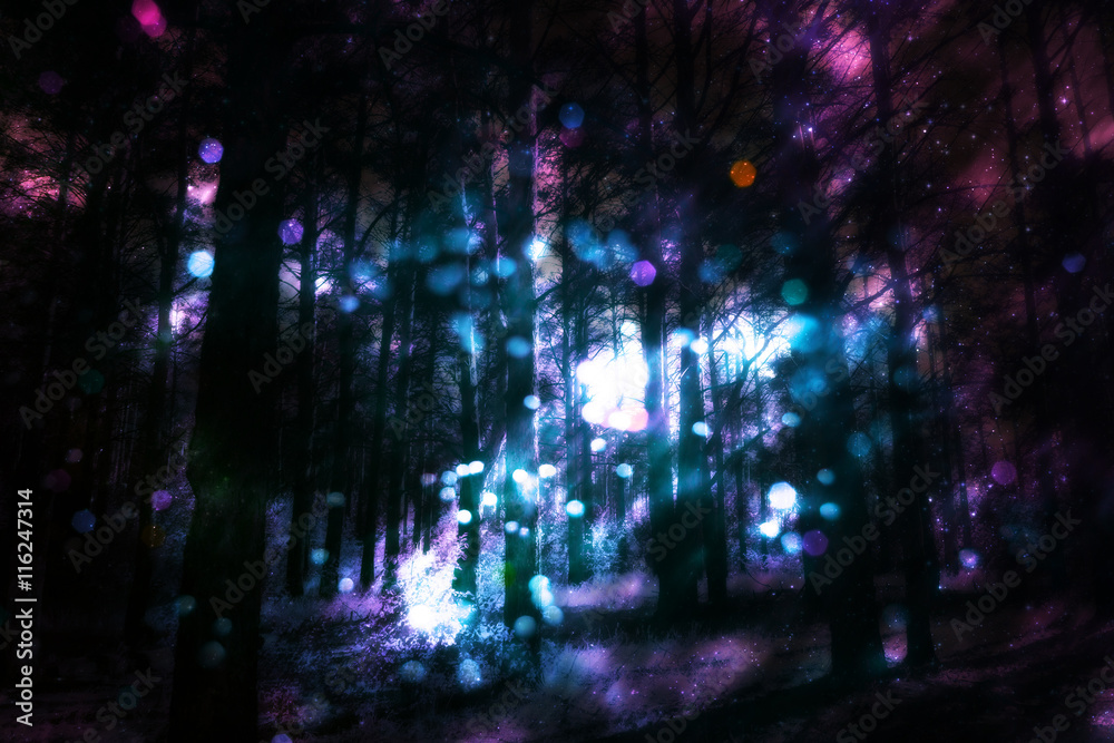 Obraz premium Fantasy Starry Forest