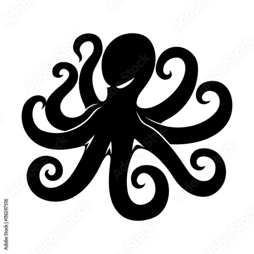 Octopus.