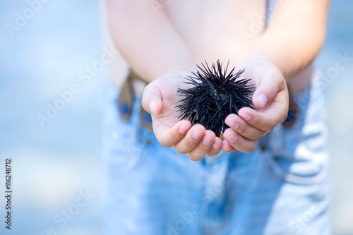 Cute child, holding sea urchin on the beach