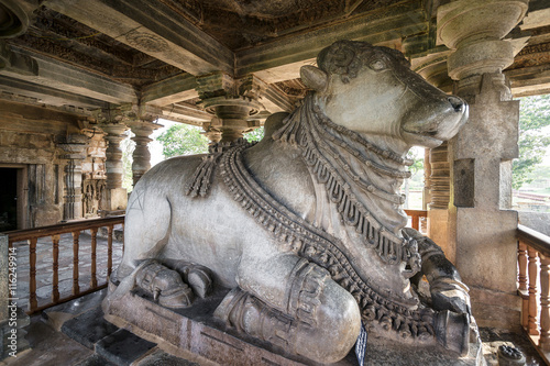 Statue of Nandi Bull in the Hoysaleshwara Hindu temple  Halebid  India
