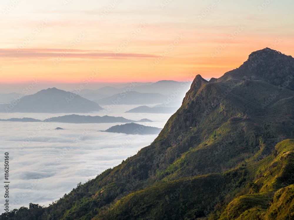 Mountains with spotted sunshine at Doi Pha Tang, Chiang Rai, Thailand.