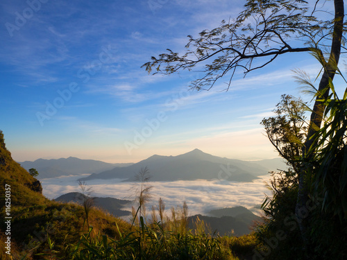morning mountain view with sunbeam and haze at Doi Pha Tang, chiang rai, thailand