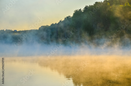 thick morning fog in the summer forest © efimenkoalex